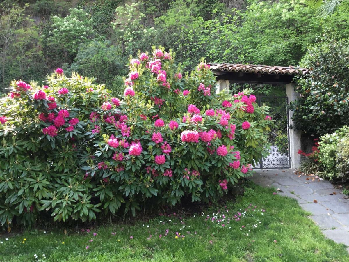 Mon Amour Appartamento In Villa Vista Lago A Lugano-Melide Exteriör bild